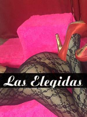 solcito escorts de LasElegidas.com