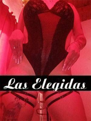sharon-zo modelo escorts de LasElegidas.com